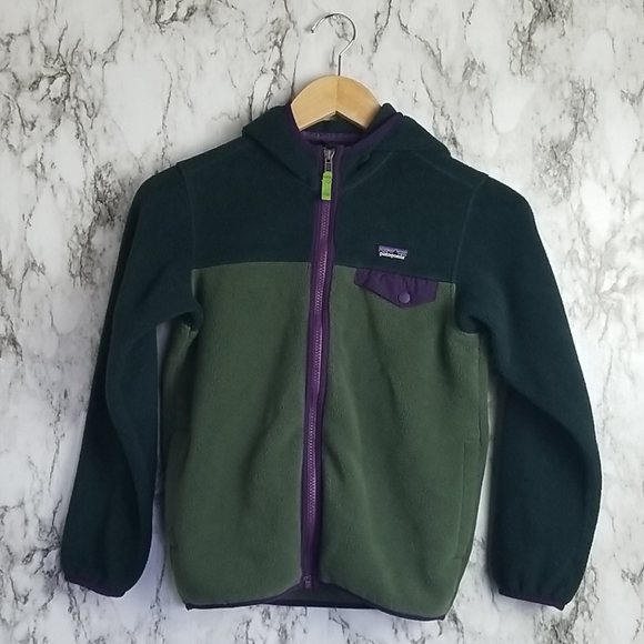 Patagonia Other - Patagonia Synchilla Hoodie Jacket
